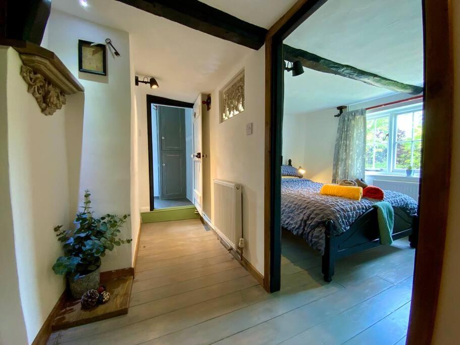 Beautiful 500 Year Old Listed Kentish Cottage Wingham Eksteriør billede